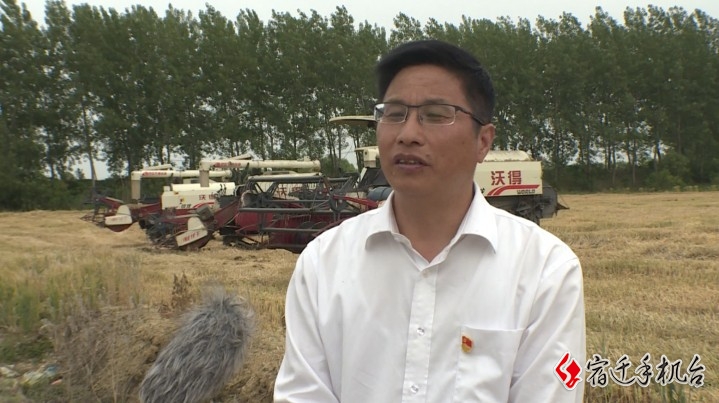 泗洪县龙集镇小麦种植户 蔡传明: 目前看,据我保守估计应该在(每亩)