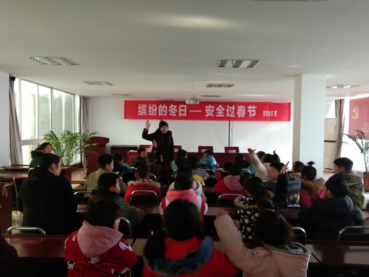 双河社区开展“缤纷的冬日—安全过春节”活动
