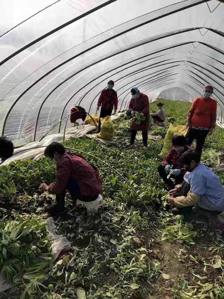 曹庙乡扶贫书记裴昌武： 身在“疫”线，心系扶贫