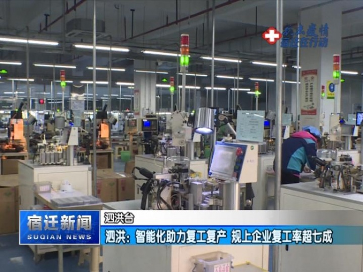 【视频】泗洪：智能化助力 规上企业复工率超七成