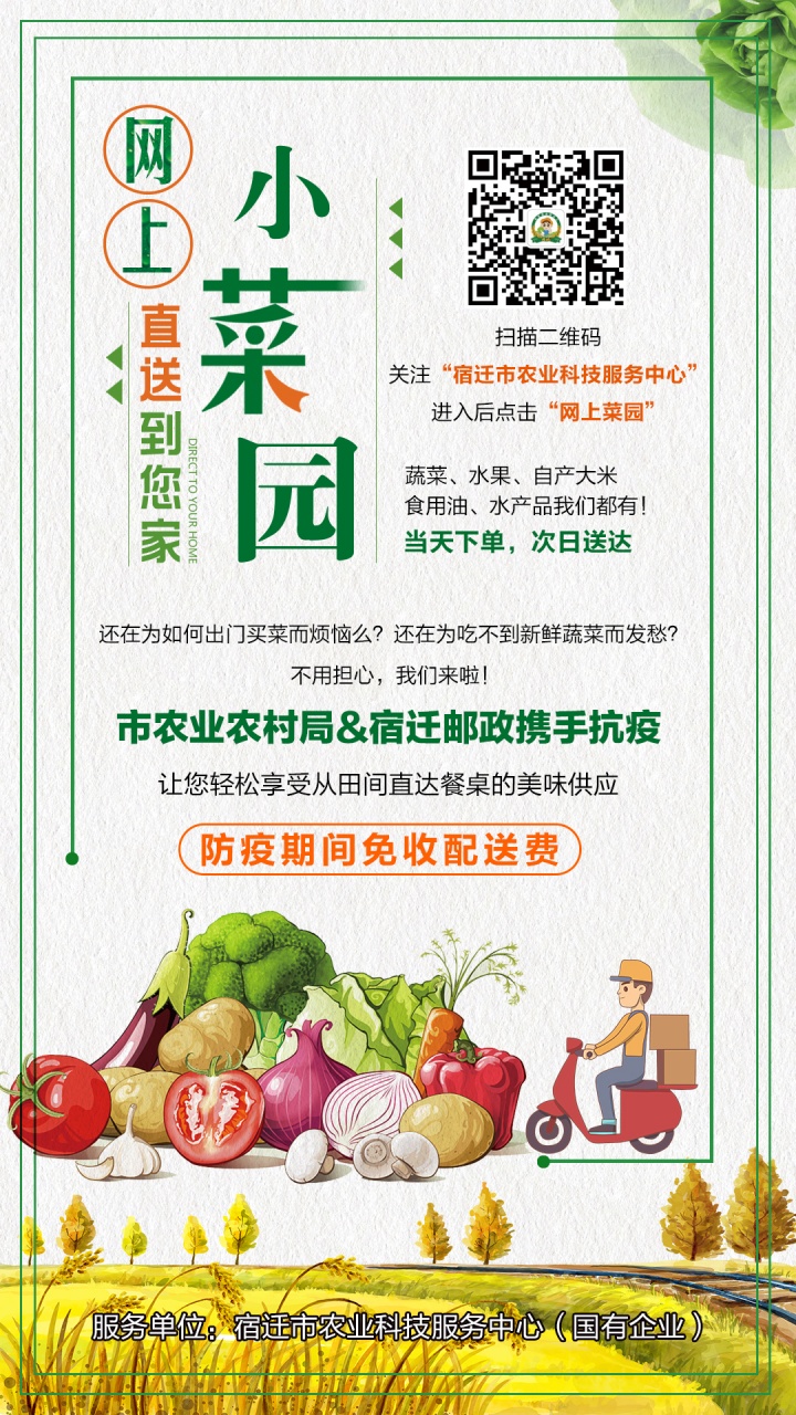 田头“蔬菜直供”全面开启