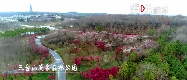 【得味视频】三月：“梅”好宿迁