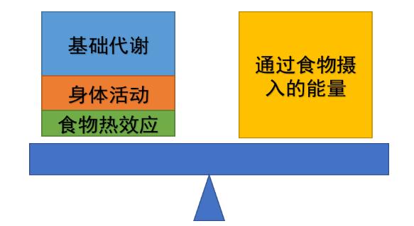 【全民营养周】优质蛋白在控制体重中的作用