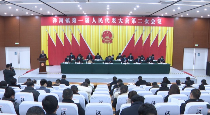 洋河镇一届人大二次会议胜利闭幕