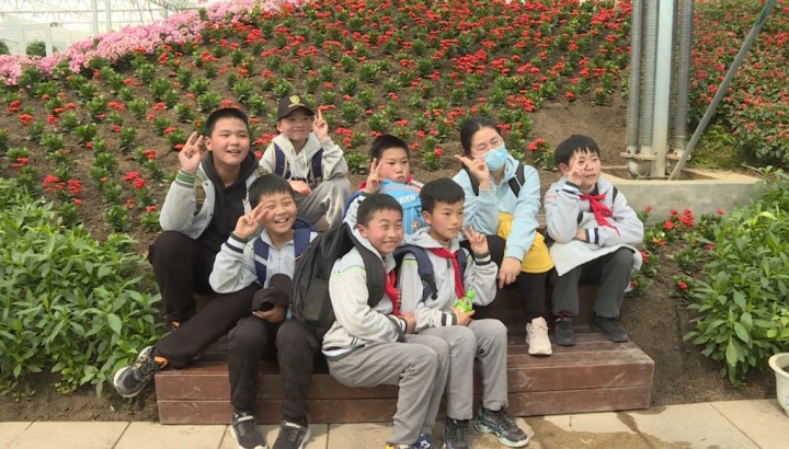 洋河农业嘉年华：研学旅行让我们在快乐中成长