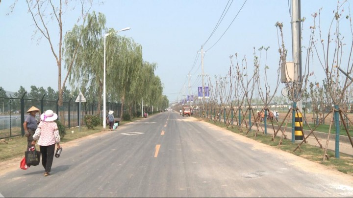 皂河一斗渠路：景观绿化提升 “颜值”“气质”倍增