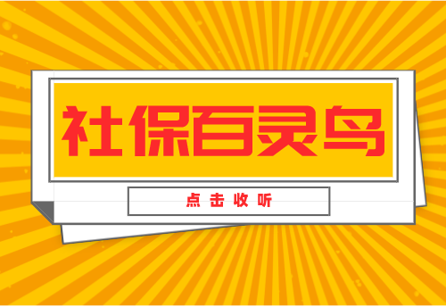 @泗阳人，宿迁社保百灵鸟“泗阳话版”开播啦！