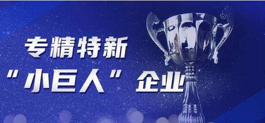 华晖新材获批2021年度市级专精特新小巨人企业