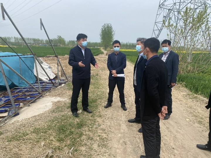 姜海青调研违法用地整改工作
