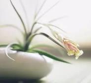 【早读】人生，一半得失，一半从容