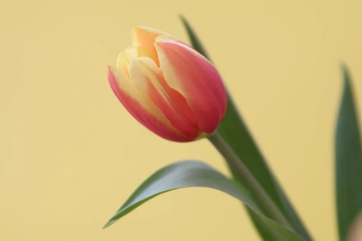 【早读】永远不要对自己做的8件事