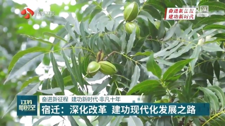 【新时空关注】奋进新征程 建功新时代·非凡十年 | 宿迁：深化改革 建功现代化发展之路