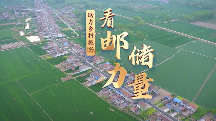 邮储银行宿豫支行：助力乡村振兴，看邮储力量