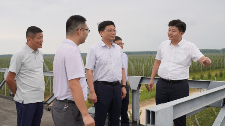 市水利局调研洋河新区水利工作