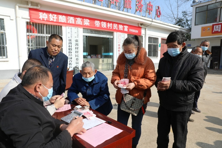 【视频】张渡村:酿酒高粱喜丰收 合作社里领分红