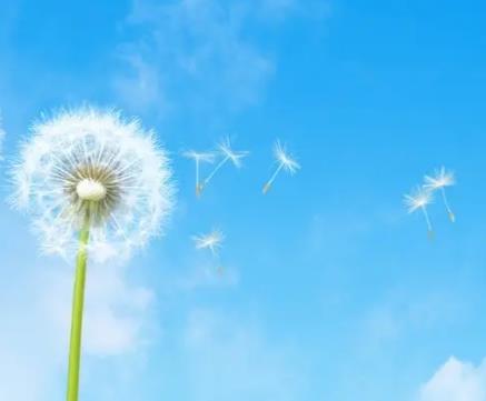 【早读】一个人成长的最好方式：每天进步一点点