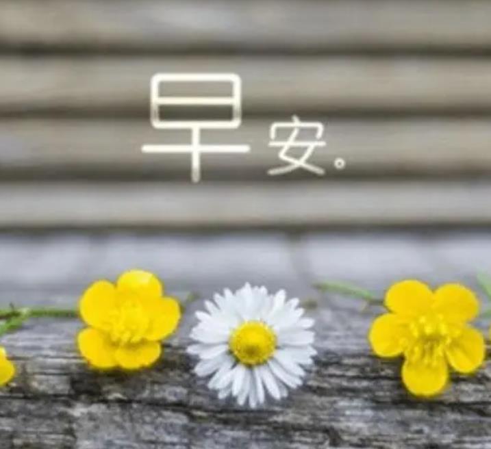 【早读】滋养生命最好的方式