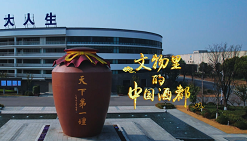 《文旅宿迁》文脉宿迁——文物里的“中国酒都”