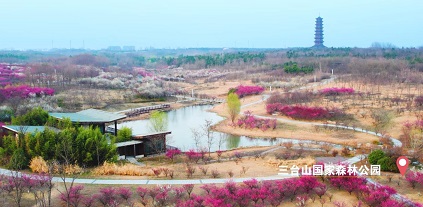 《文旅宿迁》春游宿迁 ，“梅”好可期
