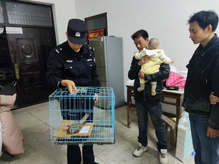 惊现国家二级保护动物红隼  宿迁洋河公安民警及时救助放生
