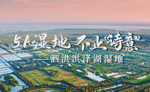 《文旅宿迁》5A湿地 不止“诗意”——泗洪洪泽湖湿地