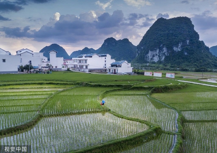 【早读】芒种：忙而不茫，勇往直前