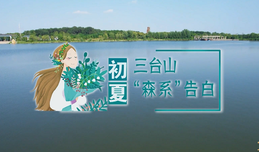 《文旅宿迁》——初夏，三台山“森系”告白！