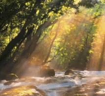 【早读】夏天的仪式感，就藏在这些小事里