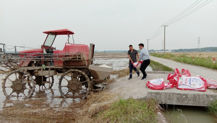 洋河新区邱夏村：统购统销 一袋复合肥闯出村集体增收新路子