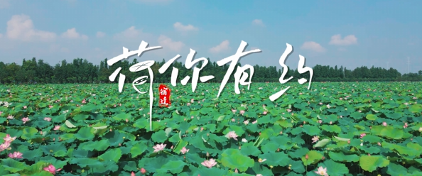 《文旅宿迁》——宿迁，“荷”你有约！