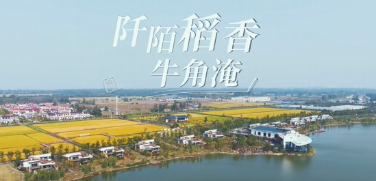 《文旅宿迁》——阡陌稻香  牛角淹