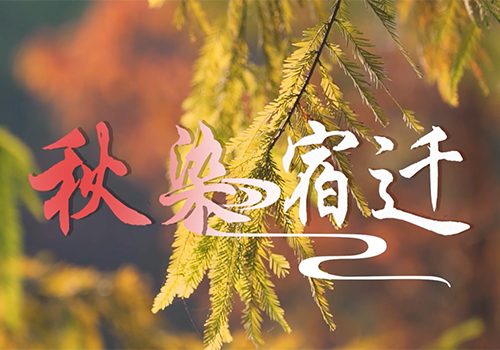 《文旅宿迁》——秋染宿迁