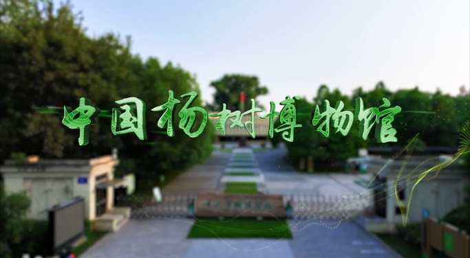 《文旅宿迁》——中国杨树博物馆