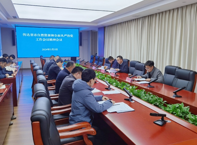 洋河分局学习贯彻全市自然资源和规划工作会议精神