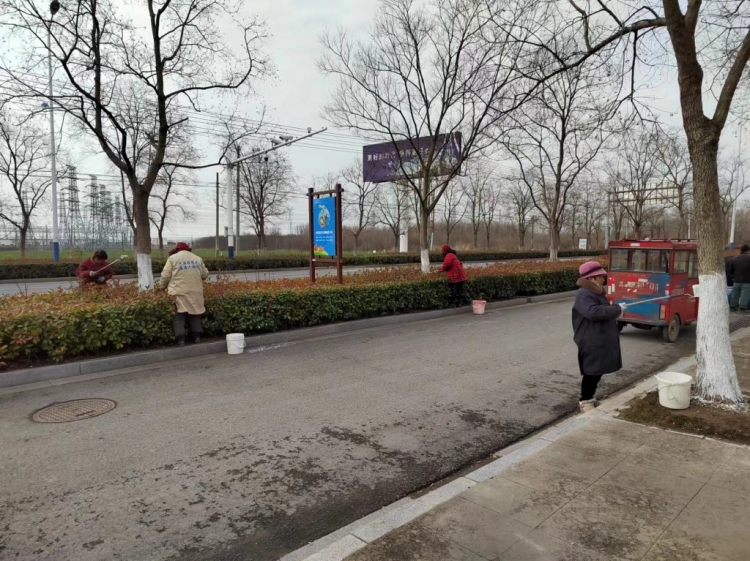 仓集现代农业产业园：全力整治环境卫生 助力乡村“颜值”大提升