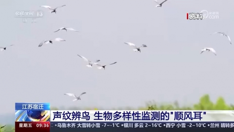 【央视关注】江苏宿迁：声纹辨鸟 生物多样性监测的“顺风耳”