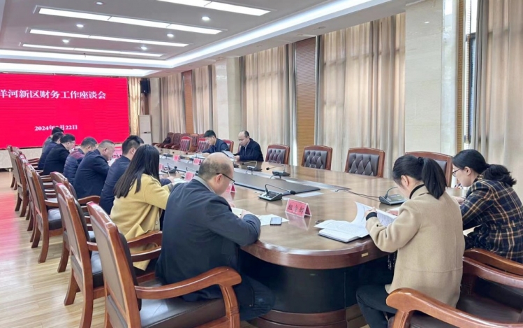 洋河新区召开财政工作座谈会