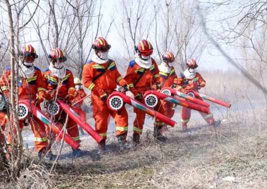全省消防救援队伍2024年度春季森林火灾扑救实战拉动演练在嶂山林场举行