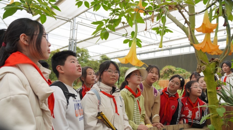 【视频】春暖花开 神农时代成为孩子研学旅行打卡地