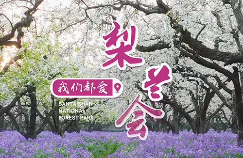 梨兰会，宿迁的“亿点点”浪漫！