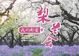 梨兰会，宿迁的“亿点点”浪漫！