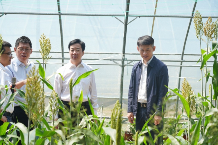 南京农业大学党委书记王春春一行来洋河调研