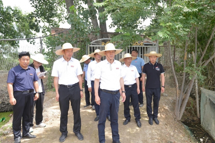 张先彦带队现场推进三里湿地生态环境整治工作