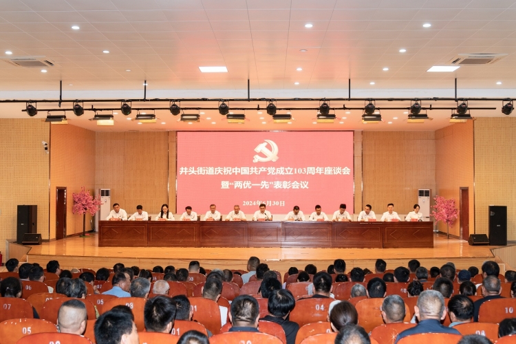井头街道召开庆祝中国共产党成立103周年座谈会暨“两优一先”表彰会议