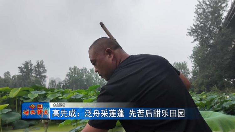 高先成：泛舟采莲蓬 先苦后甜乐田园