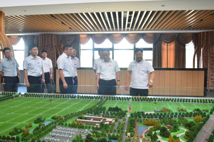 湖滨新区召开三台山葡萄酒庄项目现场调度会