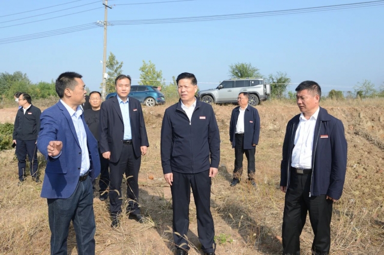 【视频】张先彦调研生态环境保护工作时强调：以生态环境“含绿量”提升发展“含金量”，为建设“轻美好快”宜居宜业现代化活力新城提供强大支撑！
