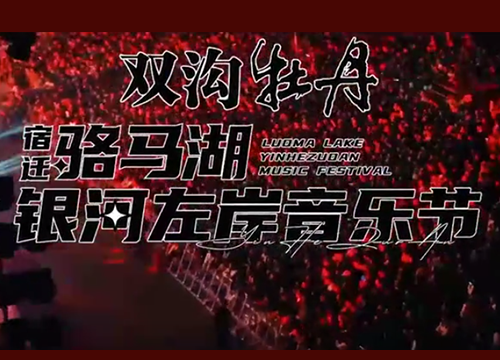 一起嗨唱！双沟牡丹宿迁骆马湖银河左岸音乐节！