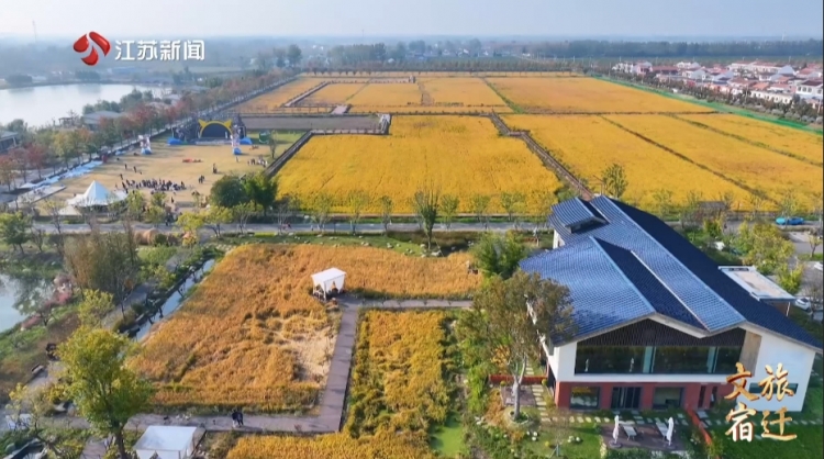 《文旅宿迁》100期特别节目⑤——牛角村欢乐田园度假区