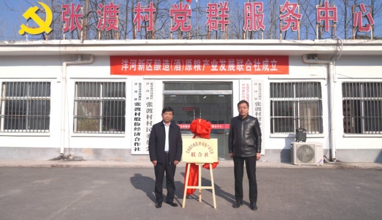“合作社”升级为“联合社”  洋河新区酿造（酒）原粮产业发展迈向新台阶   